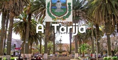 a tarija