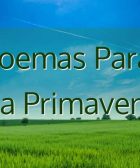 poemas-para-la-primavera